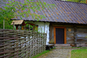 1353334462_0.jpg