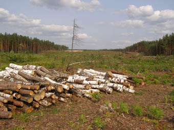 1373607320_0.jpg