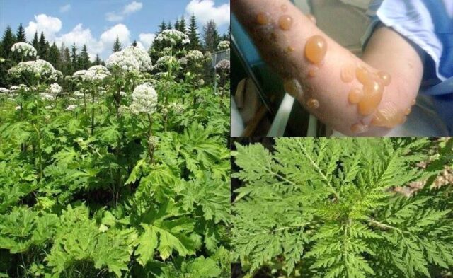 88A02449-D2C6-48C3-BCB7-2F1001D17564