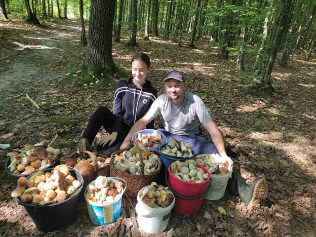 300854161_484732683428074_6263581605669861152_n