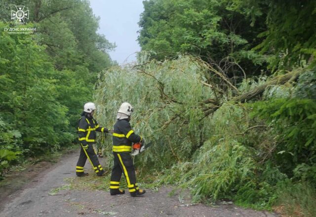 355366983_591660699764728_3037749602988548820_n