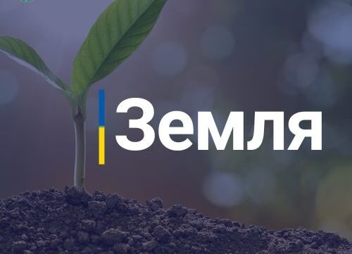 25.03.1