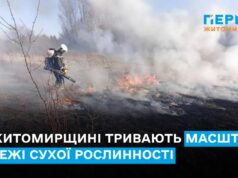 На Житомирщині тривають масштабні пожежі сухої рослинності