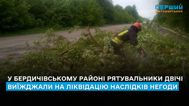 photo_1_2025-05-16_12-02-57