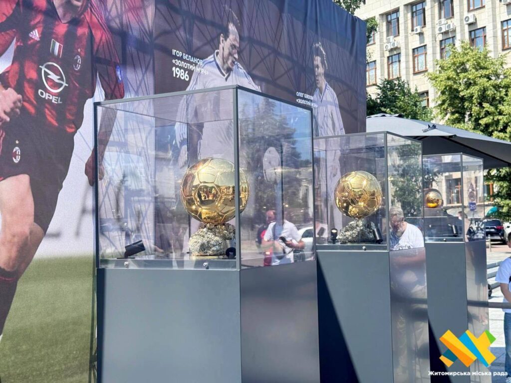 Золотий м’яч Житомир