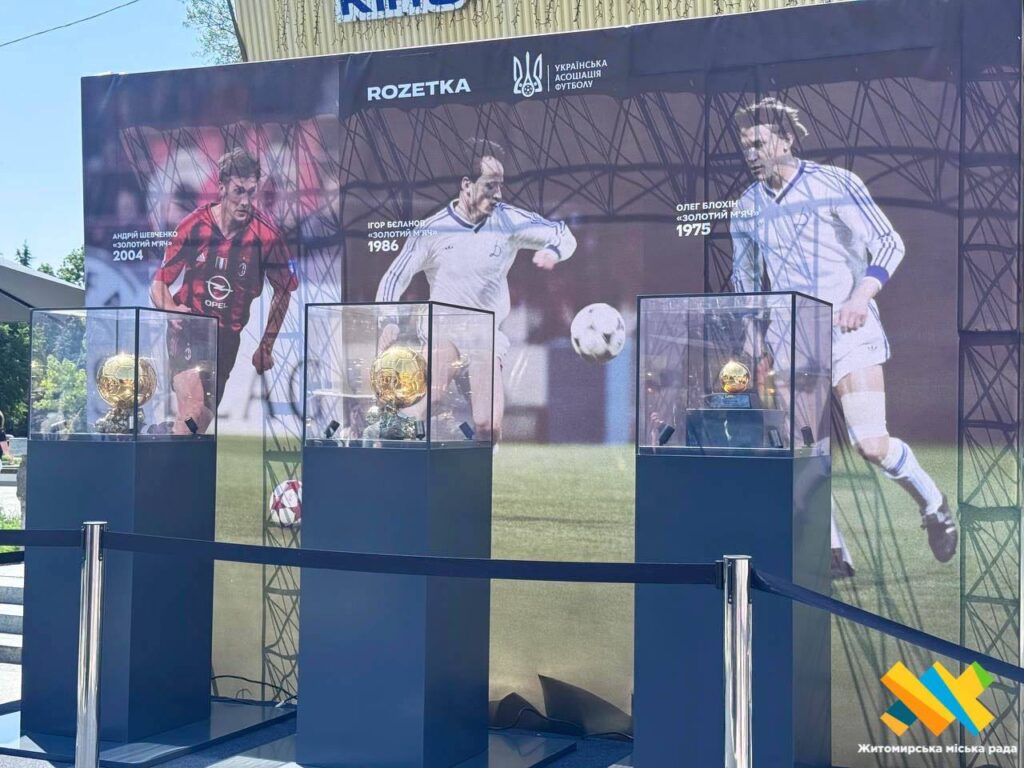 Золотий м’яч Житомир