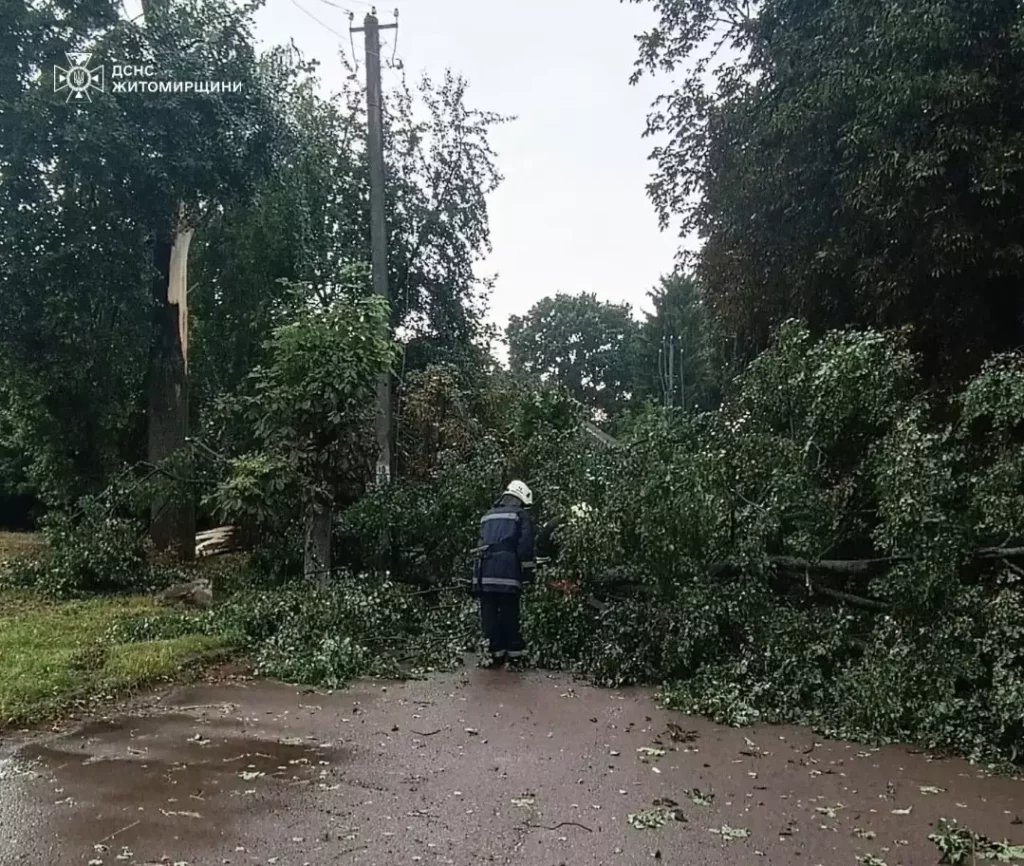 негода Житомирщина