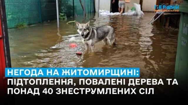 Негода на Житомирщині