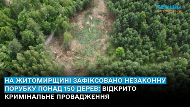 незаконна вирубка лісу Житомирщина