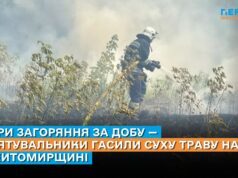 Три загоряння за добу — рятувальники гасили суху траву на Житомирщині