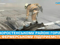 У Коростенському районі горіло на фермерському підприємстві