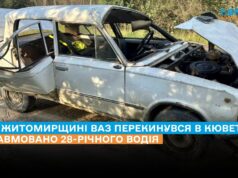 На Житомирщині ВАЗ перекинувся в кювет: травмовано 28-річного водія