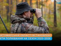У Житомирській області встановлені ліміти полювання на сезон 2025–2026