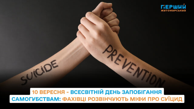 сайт (24)