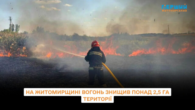 сайт (9)