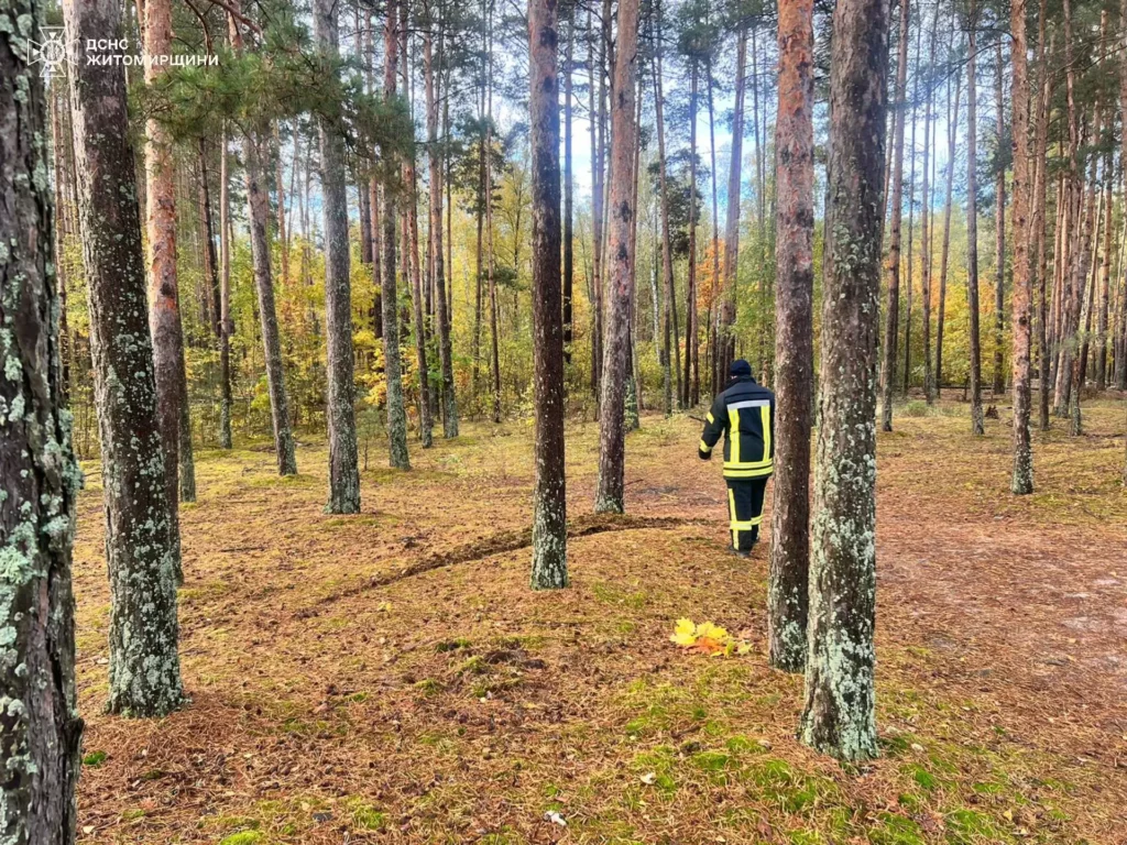 У лісі під Житомиром знайшли зниклу 73-річну жінку —...