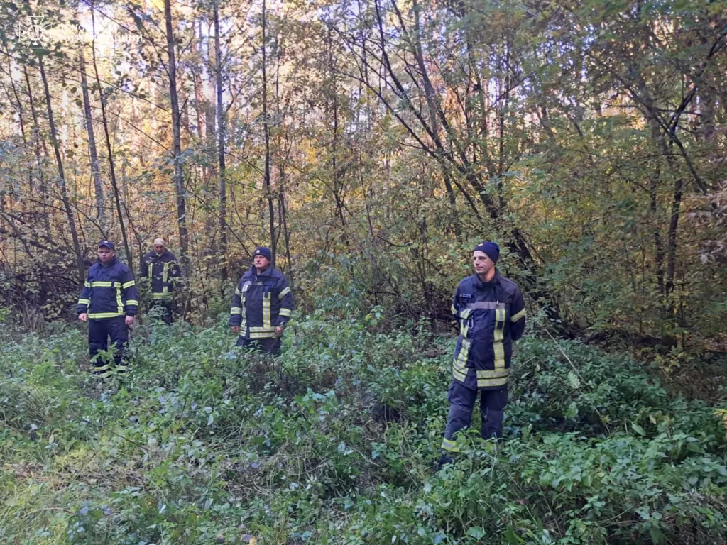 У лісі під Житомиром знайшли зниклу 73-річну жінку —...