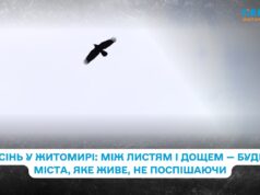 Мокрий асфальт і запах кави: як виглядає Житомир у середині жовтня