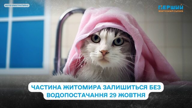 сайт - 2025-10-29T094044.437