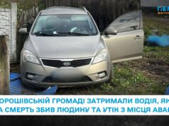 На смерть переїхав людину, покинув авто та втік: у Хорошівській громаді поліцейські затримали горе-водія