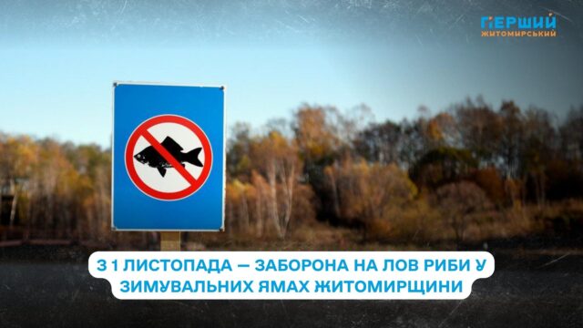 сайт - 2025-10-29T171206.565