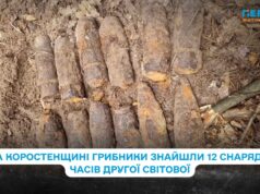 У лісі на Коростенщині піротехніки знешкодили 12 снарядів часів Другої світової