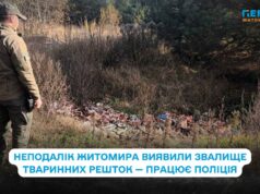 Незаконне складування відходів тваринного походження виявили поблизу Житомира — справу передали поліції