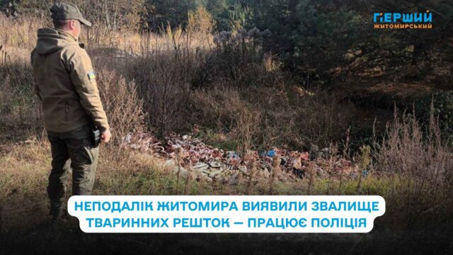 сайт - 2025-10-31T102021.712