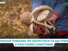 Отруєння грибами: як уберегтися та що робити у разі появи симптомів
