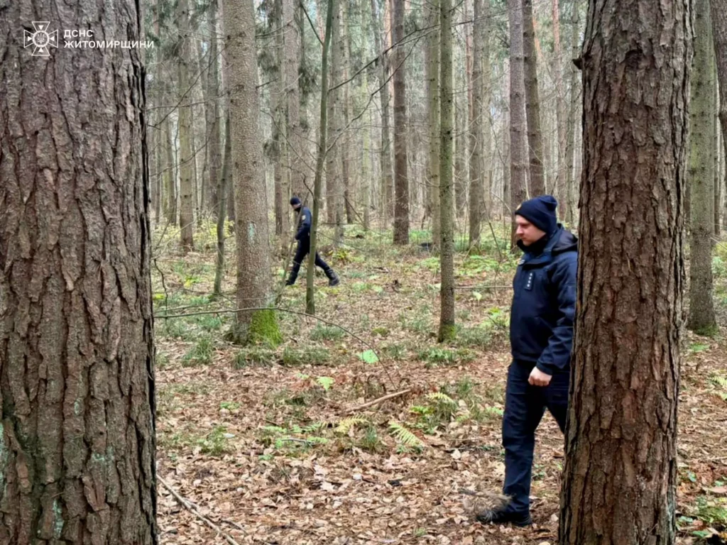У лісі біля Довжика зник 75-річний чоловік: рятувальники долучилися...