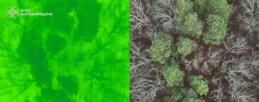 У лісі біля Довжика зник 75-річний чоловік: рятувальники долучилися...