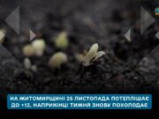 Погода на Житомирщині наприкінці листопада: потепління до +12, а далі зниження температури