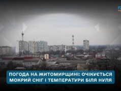 Погода на Житомирщині 17–23 листопада: похолодання, сильний вітер і перший мокрий сніг