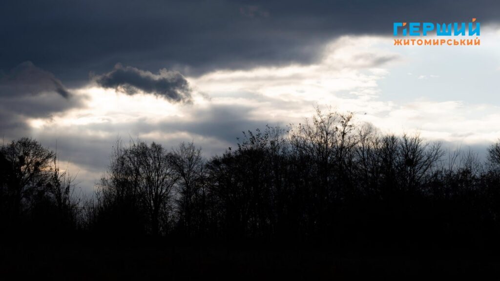 в парку Шодуара