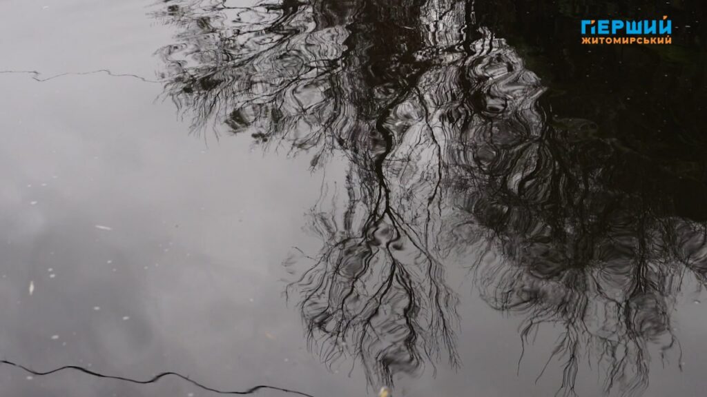 “Сіре” місто, пофарбоване осіннім дощем. ФОТО/ВІДЕО