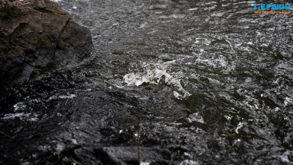 У листопадовому ритмі води та дерев: фоторепортаж із Житомира