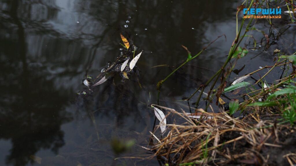 “Сіре” місто, пофарбоване осіннім дощем. ФОТО/ВІДЕО