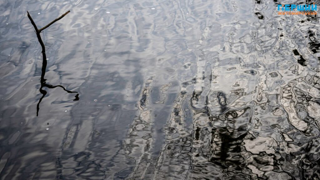 У листопадовому ритмі води та дерев: фоторепортаж із Житомира