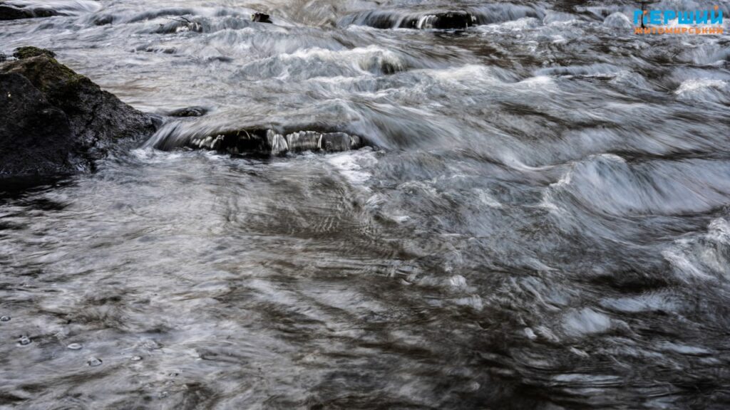 У листопадовому ритмі води та дерев: фоторепортаж із Житомира