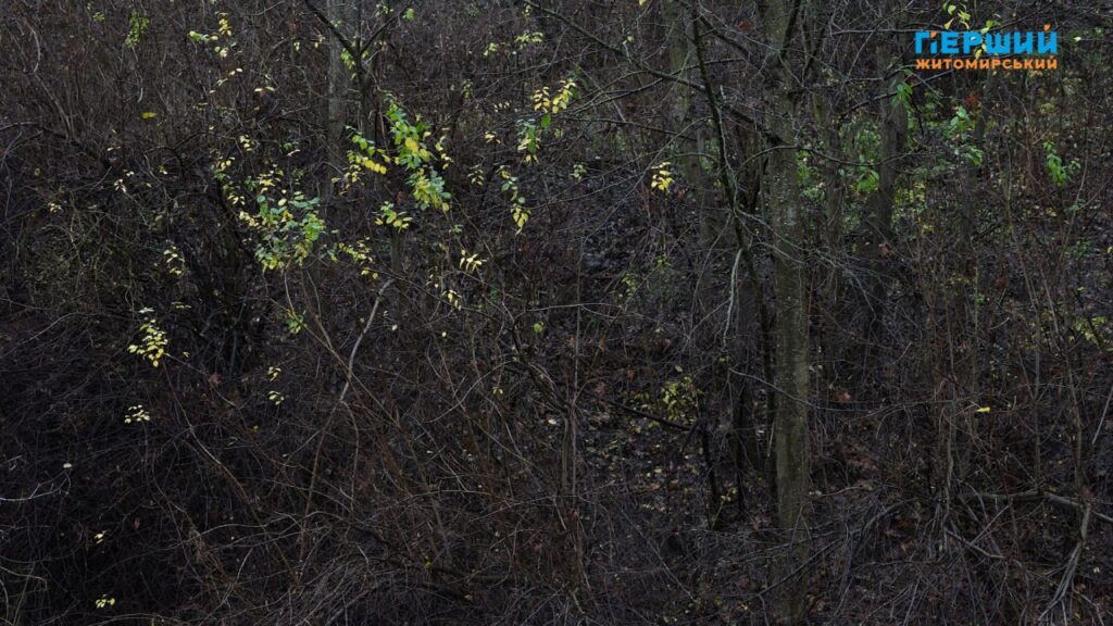 “Сіре” місто, пофарбоване осіннім дощем. ФОТО/ВІДЕО