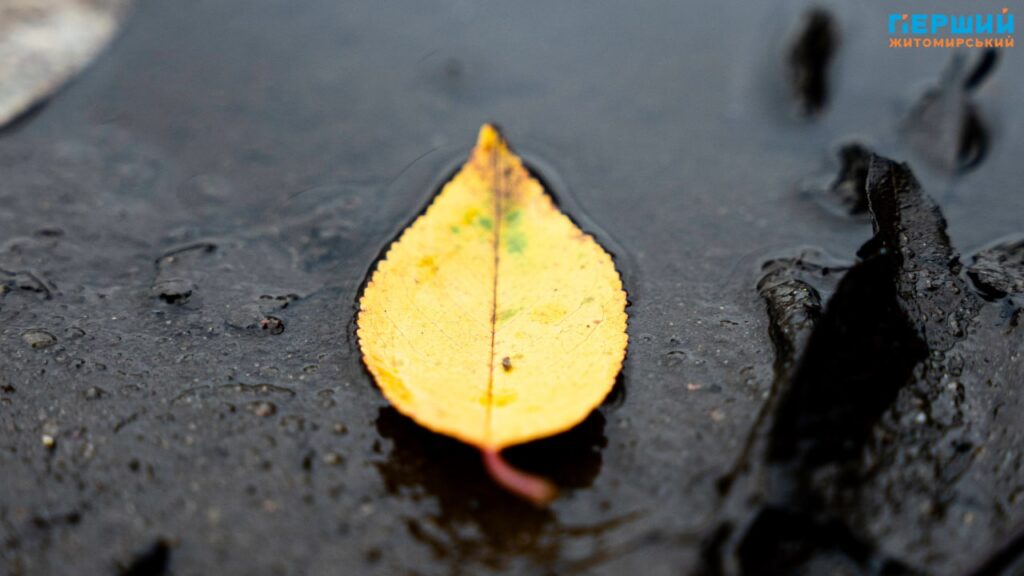 фоторепортаж Євгенія Старчука