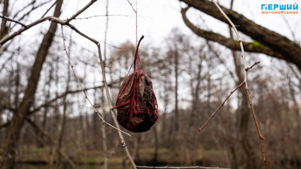 У листопадовому ритмі води та дерев: фоторепортаж із Житомира