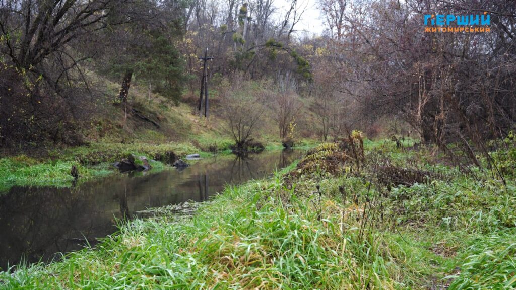 “Сіре” місто, пофарбоване осіннім дощем. ФОТО/ВІДЕО