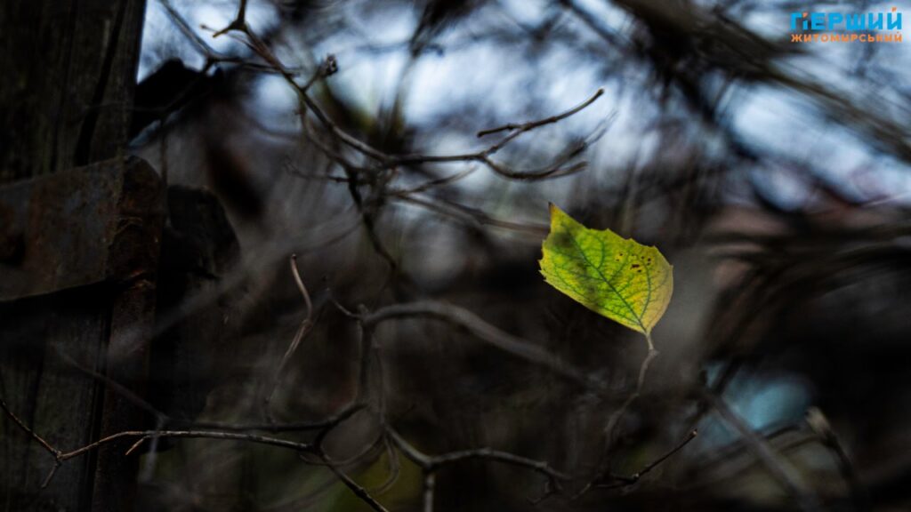 фоторепортаж Євгенія Старчука