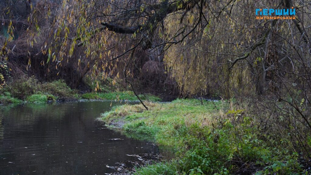 “Сіре” місто, пофарбоване осіннім дощем. ФОТО/ВІДЕО
