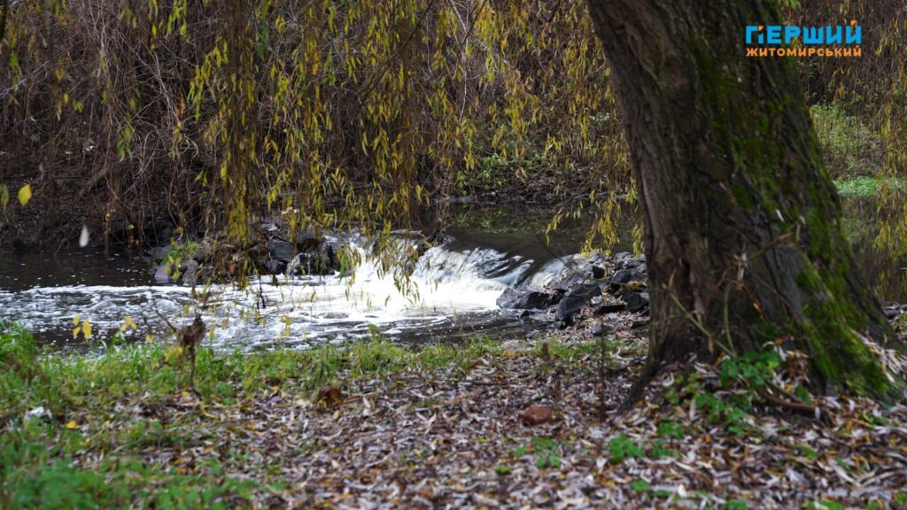 “Сіре” місто, пофарбоване осіннім дощем. ФОТО/ВІДЕО