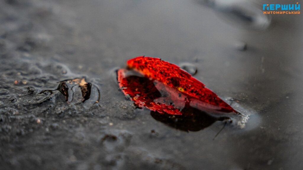 фоторепортаж Євгенія Старчука