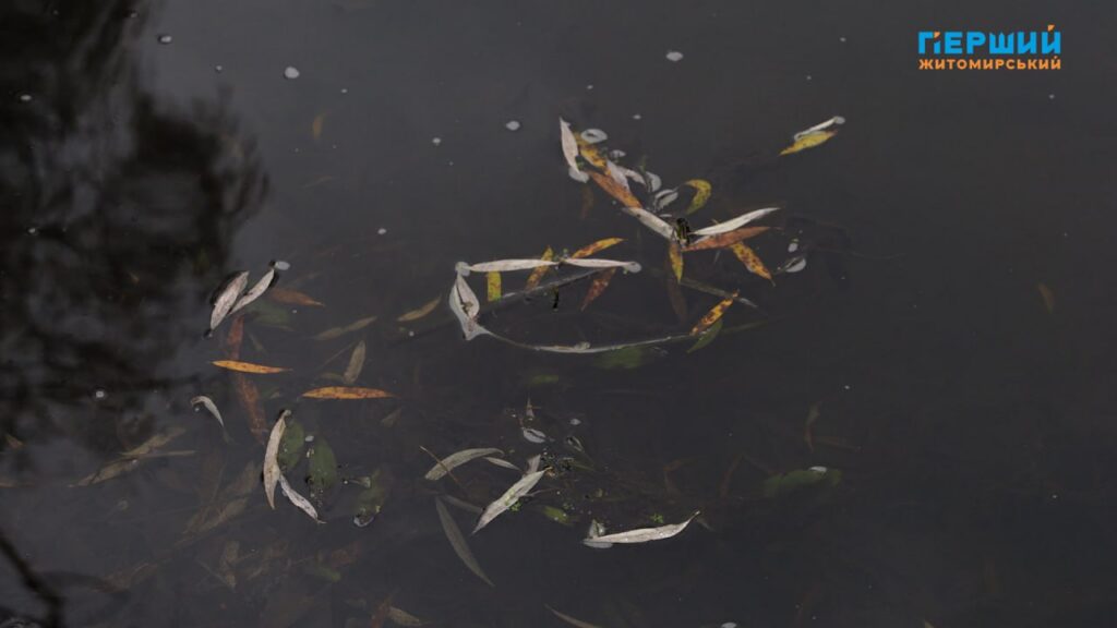 “Сіре” місто, пофарбоване осіннім дощем. ФОТО/ВІДЕО