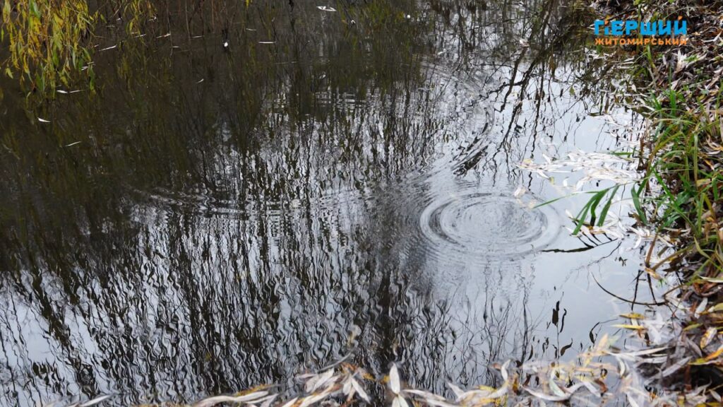 “Сіре” місто, пофарбоване осіннім дощем. ФОТО/ВІДЕО