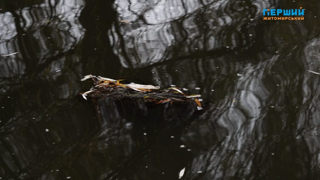 “Сіре” місто, пофарбоване осіннім дощем. ФОТО/ВІДЕО